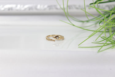 ring mit snake