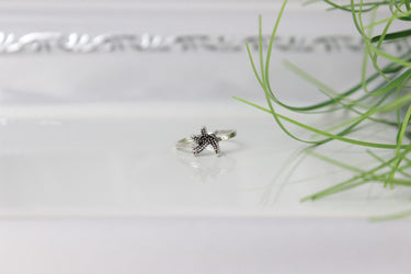 see stern silber ring
